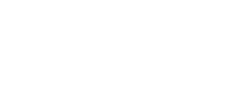 logo Nicole W
